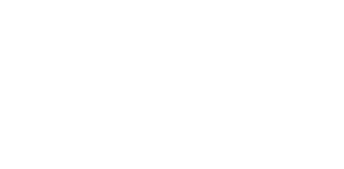 The Cricket Pitch